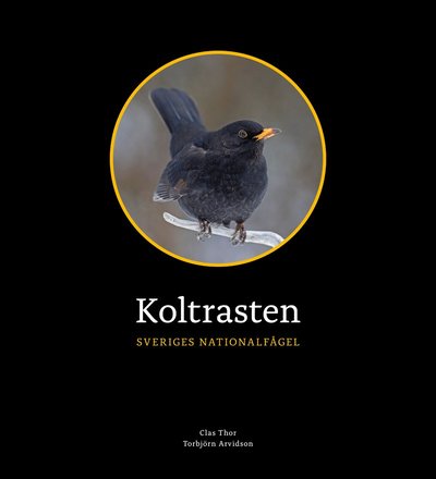 Cover for Clas Thor · Koltrasten : Sveriges Nationalfågel (Bound Book) (2021)