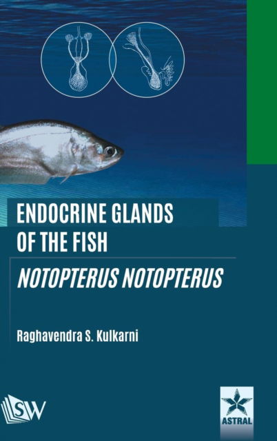 Cover for Raghavendra S Kulkarni · Endocrine Glands of the Fish: Notopterus Notopterus (Hardcover Book) (2018)