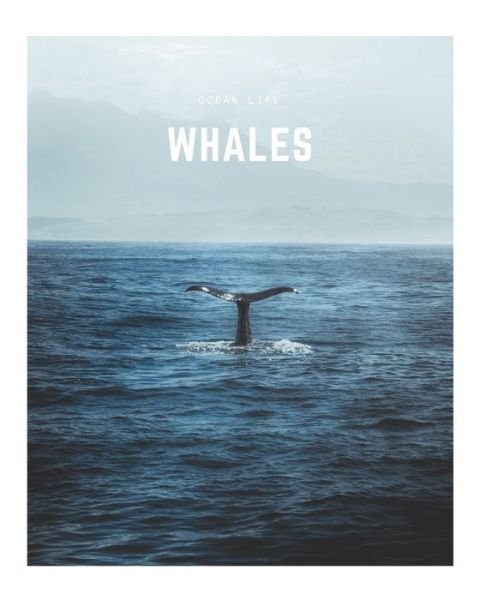 Cover for Decora Book Co · Whales (Paperback Book) (2020)