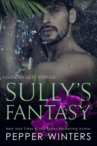 Cover for Pepper Winters · Sully's Fantasy (Paperback Book) (2020)