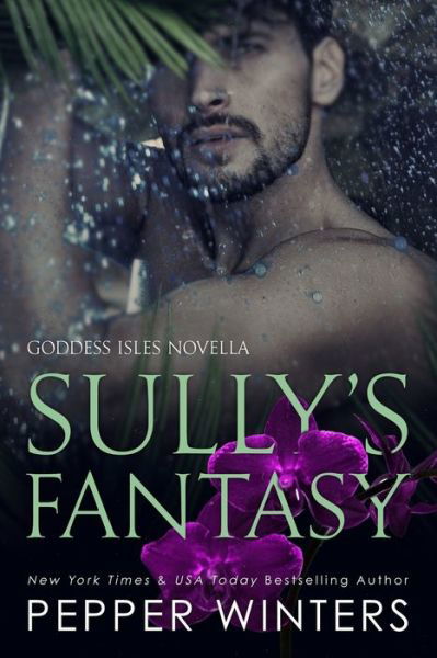 Cover for Pepper Winters · Sully's Fantasy (Taschenbuch) (2020)