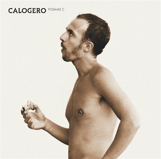 Cover for Calogero · Pomme C (LP) (2020)
