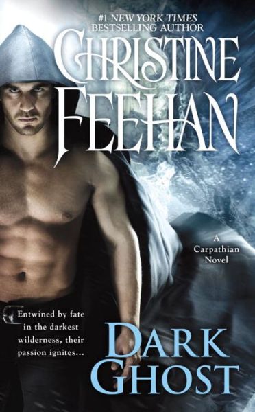 Cover for Christine Feehan · Dark Ghost (Paperback Book) (2016)