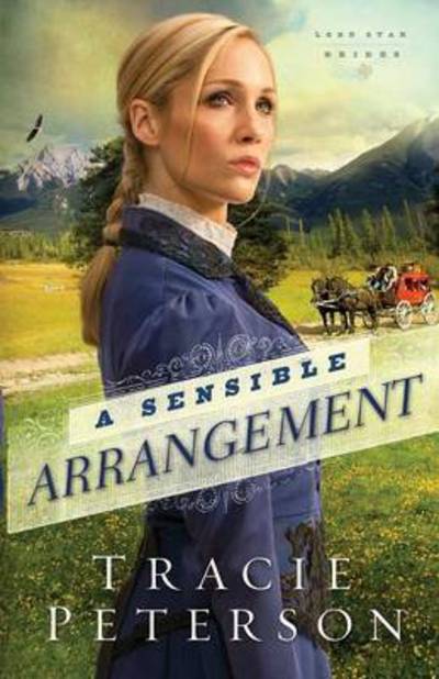 Cover for Tracie Peterson · A Sensible Arrangement (Pocketbok) [Large type / large print edition] (2014)