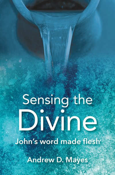 Cover for Andrew D. Mayes · Sensing the Divine: John's word made flesh (Paperback Book) (2019)