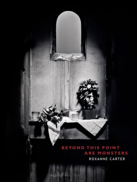 Cover for Roxanne Carter · Beyond This Point Are Monsters (Paperback Book) (2013)