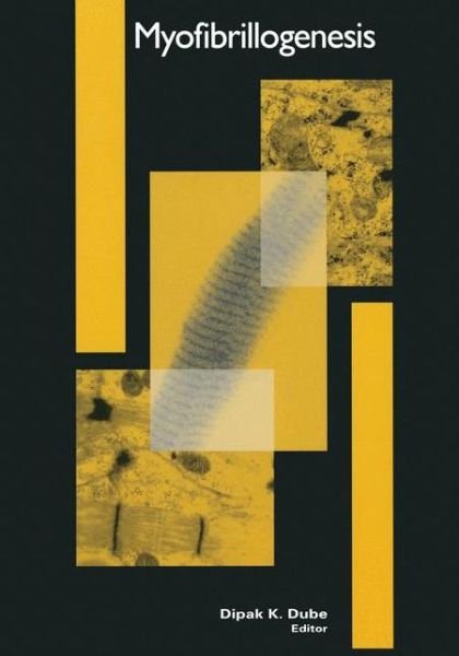 Cover for Dipak K Dube · Myofibrillogenesis (Taschenbuch) [Softcover Reprint of the Original 1st Ed. 2002 edition] (2012)