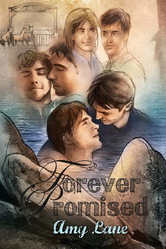 Forever Promised Volume 4 - Keeping Promise Rock Series - Amy Lane - Books - Dreamspinner Press - 9781623808587 - June 28, 2013