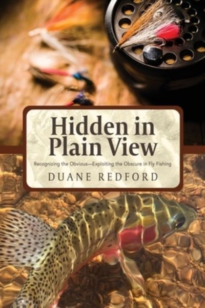 Cover for Duane Redford · Hidden in Plain View (Paperback Book) (2017)