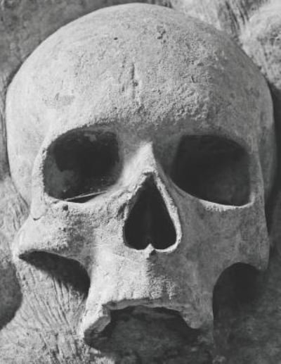 Cover for Pagan Essentials · Gothic Skull Skeleton Composition Notebook (Paperback Bog) (2019)