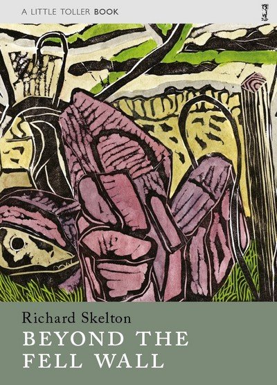 Cover for Richard Skelton · Beyond the Fell Wall - Little Toller Monographs (Paperback Bog) (2017)