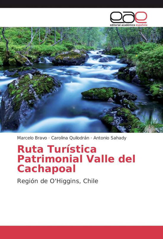 Cover for Bravo · Ruta Turística Patrimonial Valle (Book)