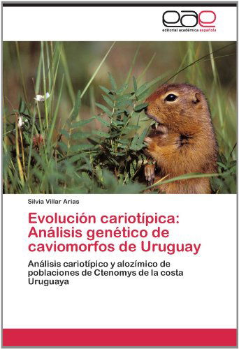 Cover for Silvia Villar Arias · Evolución Cariotípica: Análisis Genético De    Caviomorfos De Uruguay: Análisis Cariotípico Y Alozímico De Poblaciones De Ctenomys De La Costa Uruguaya (Paperback Book) [Spanish edition] (2012)