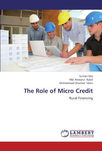 Cover for Mohammad  Shamsal Islam · The Role of Micro Credit: Rural Financing (Paperback Book) (2012)