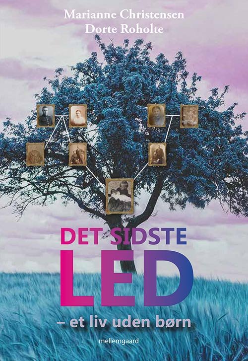 Cover for Dorte Roholte og Marianne Christensen · Det sidste led (Sewn Spine Book) [1º edição] (2020)