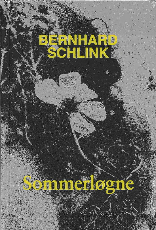 Cover for Bernhard Schlink · Sommerløgne (Sewn Spine Book) [1th edição] (2025)