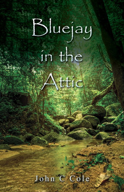 Cover for John C Cole · Bluejay in the Attic (Paperback Book) (2024)