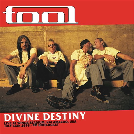 Cover for Tool · Divine Destiny: Live At Wings Stadium. Kalamazoo. Usa. July 15th 1998 - Fm Broadcast (LP) (2024)