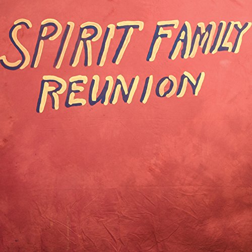 Cover for Spirit Family Reunion · Hands Together (LP) (2015)