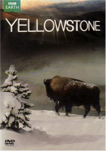 Cover for Yellowstone: Tales From The Wild [Edizione: Regno Unito] (DVD) (2009)