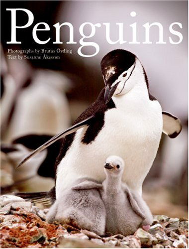 Cover for Brutus Ostling · Penguins (Hardcover Book) (2007)