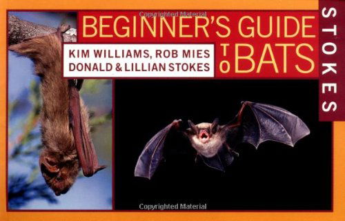 Stokes Beginner's Guide to Bats - Lillian Stokes - Books - Little, Brown and Company - 9780316816588 - April 29, 2002