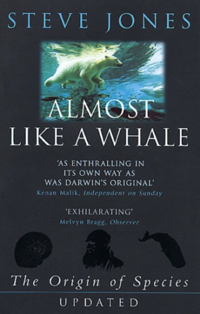 Almost Like A Whale: The Origin Of Species Updated - Steve Jones - Books - Transworld Publishers Ltd - 9780552999588 - September 1, 2000