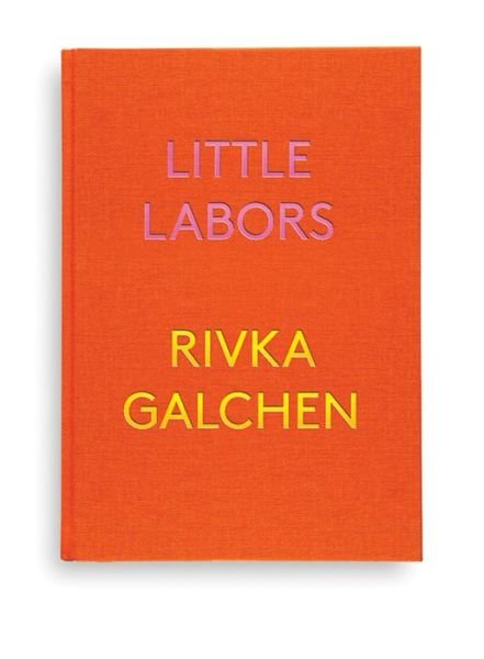 Cover for Rivka Galchen · Little Labors (Hardcover Book) (2016)