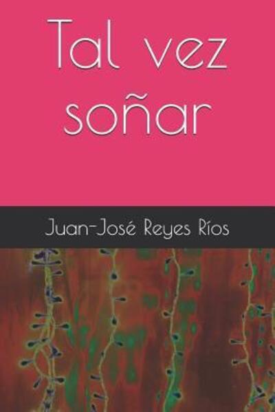 Cover for Juan-José Reyes Ríos · Tal vez soñar (Paperback Book) (2019)