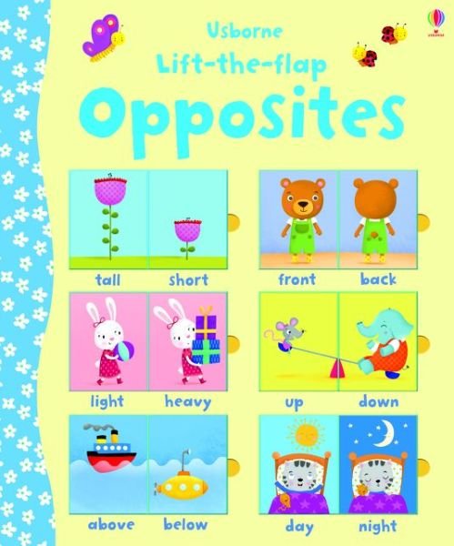Cover for Felicity Brooks · Lift-the-flap Opposites - Young Lift-the-flap (Board book) (2015)