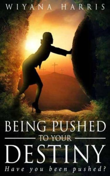 Cover for Wiyana Harris · Being Pushed to Your Destiny (Paperback Book) (2018)