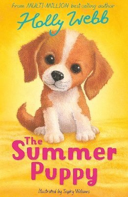 The Summer Puppy - Holly Webb: Animal Stories - Holly Webb - Books - Little Tiger Press Group - 9781788957588 - July 3, 2025