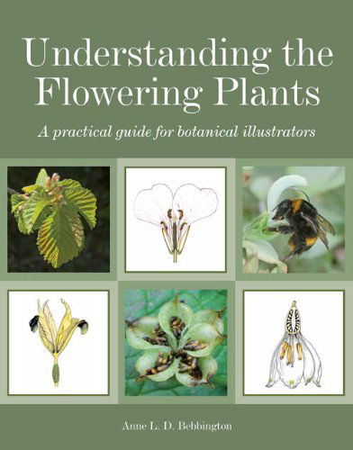 Cover for Anne Bebbington · Understanding the Flowering Plants: A Practical Guide for Botanical Illustrators (Paperback Book) (2014)