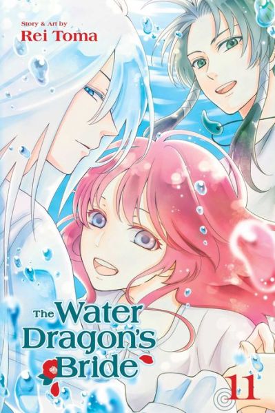 Cover for Rei Toma · The Water Dragon's Bride, Vol. 11 - The Water Dragon’s Bride (Paperback Book) (2019)