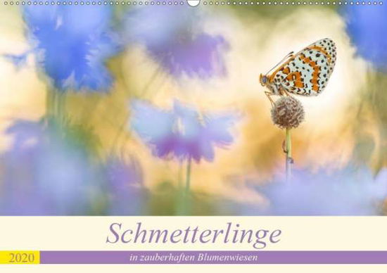 Cover for Petzl · Schmetterlinge in zauberhaften Bl (Buch)