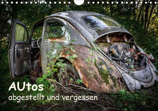 Cover for Rosin · Autos, abgestellt und vergessen ( (Book)