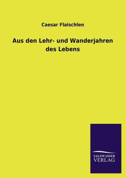 Aus den Lehr- Und Wanderjahren Des Lebens - Caesar Flaischlen - Książki - Salzwasser-Verlag GmbH - 9783846026588 - 8 marca 2013