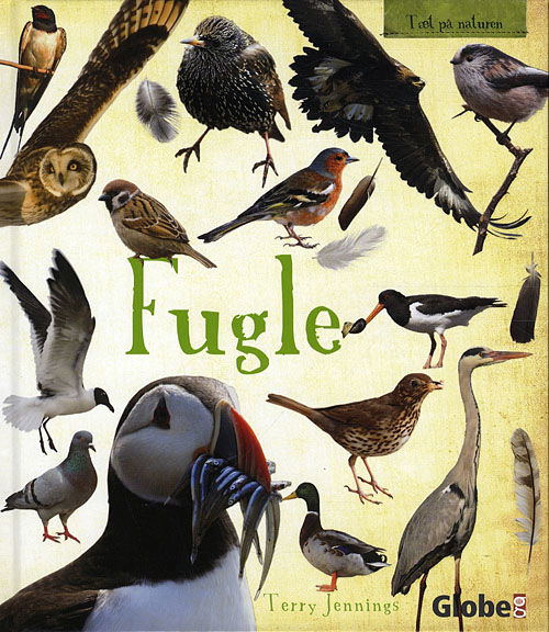 Cover for Terry Jennings · Tæt på naturen: Fugle (Bound Book) [1st edition] [Indbundet] (2010)