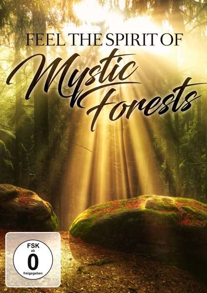 Special Interest - Feel The Spirit Of Mystic Forests - Musiikki - Zyx - 0090204690589 - perjantai 2. joulukuuta 2016