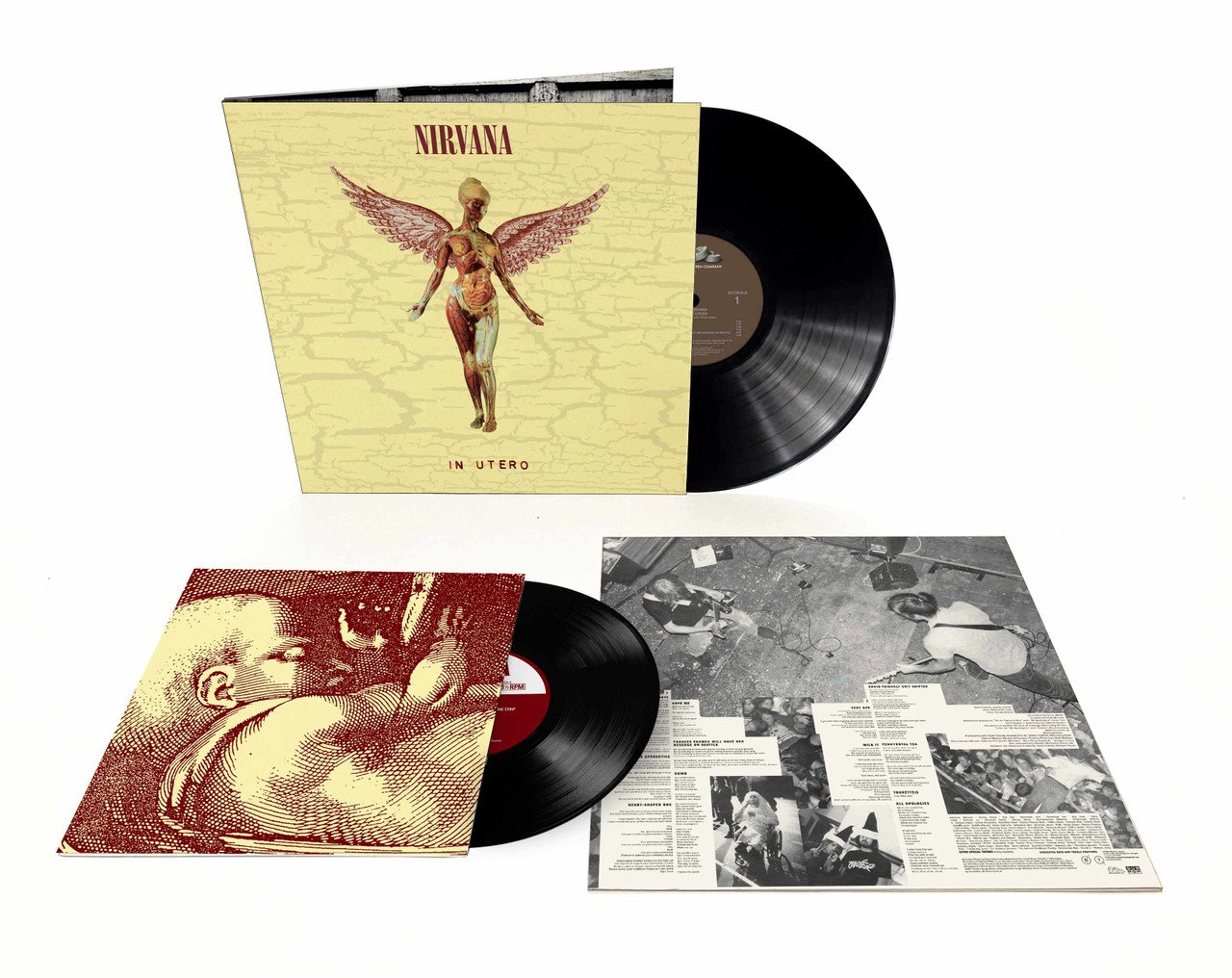 Nirvana · In Utero (LP/10
