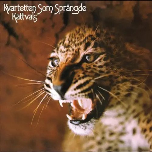 Cover for Kvartetten Som Sprangde · Kattvals (LP) [Deluxe edition] (2024)