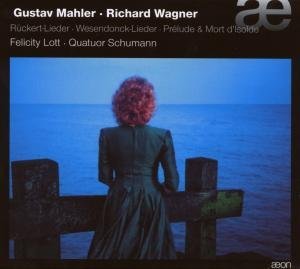 Ruckert-lieder - Mahler / Wagner / Lott / Schumann Quartet - Muziek - Aeon - 3760058368589 - 8 april 2008