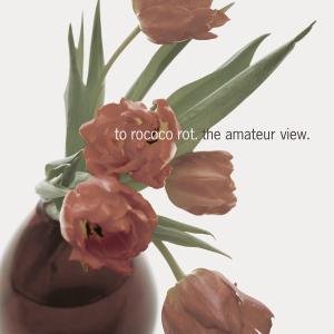 Cover for To Rococo Rot · Amateur View (LP) [Reissue edition] (2012)
