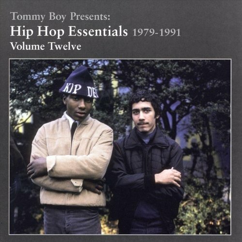 Cover for Various Artists · Hip Hop Essential 1979-1991 Vo (CD)