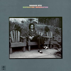 Inspiration Information - Shuggie Otis - Musikk - MUSIC ON VINYL - 8718469533589 - 14. oktober 2013