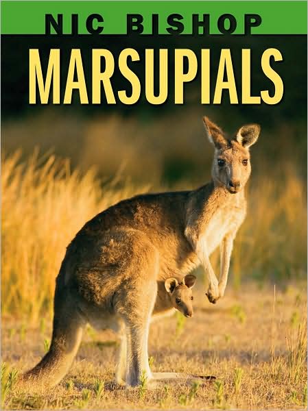 Cover for Nic Bishop · Nic Bishop: Marsupials (Hardcover Book) (2009)