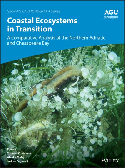 Coastal Ecosystems in Transition: A Comparative Analysis of the Northern Adriatic and Chesapeake Bay - Geophysical Monograph Series - Malone - Książki - John Wiley & Sons Inc - 9781119543589 - 29 grudnia 2020