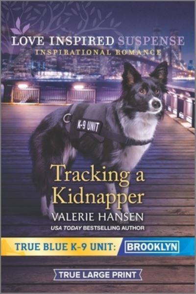 Cover for Valerie Hansen · Tracking a Kidnapper (Book) (2020)