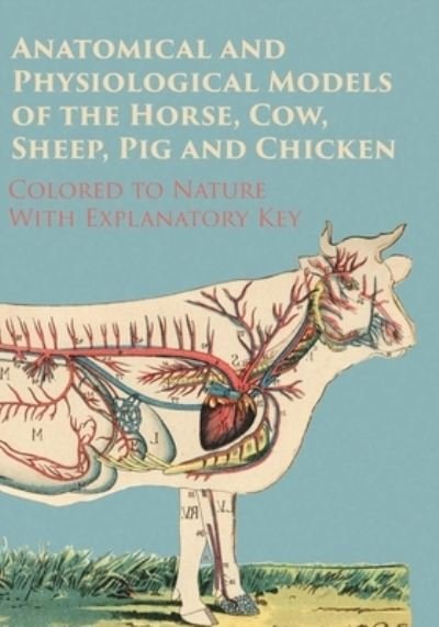 Cover for Anon · Anatomical and Physiological Models of the Horse, Cow, Sheep, Pig and Chicken - Colored to Nature - With Explanatory Key (Paperback Bog) (2017)