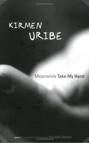 Cover for Kirmen Uribe · Meanwhile Take My Hand (Paperback Book) [First Edition (1 in Number Line) edition] (2007)